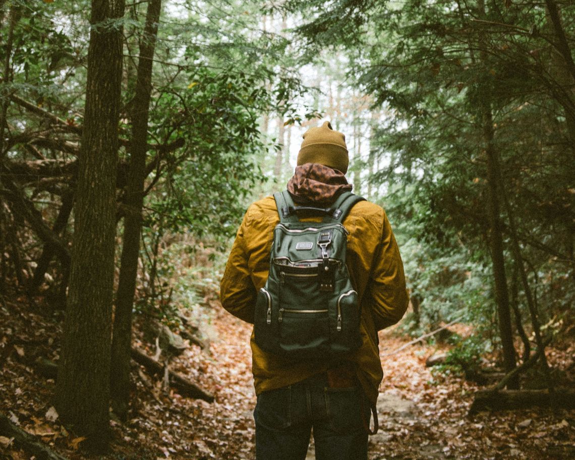 hiker in the woods