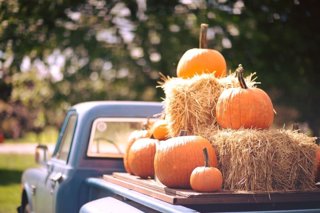 pumpkins and hay on a light blue pickup truck