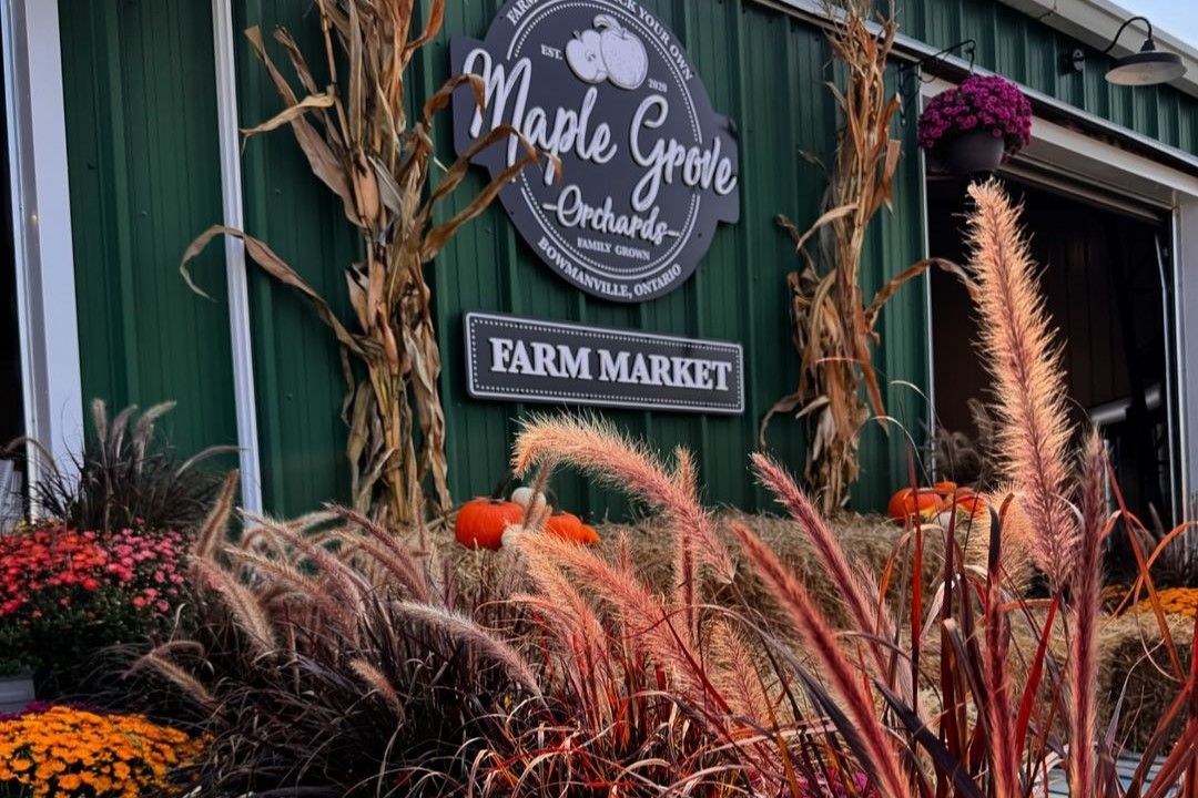 Maple Grove Orchards