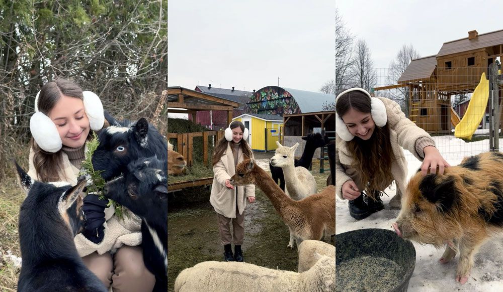 Walking tour with dwarf goats at Haute Goat Farm, Ontario