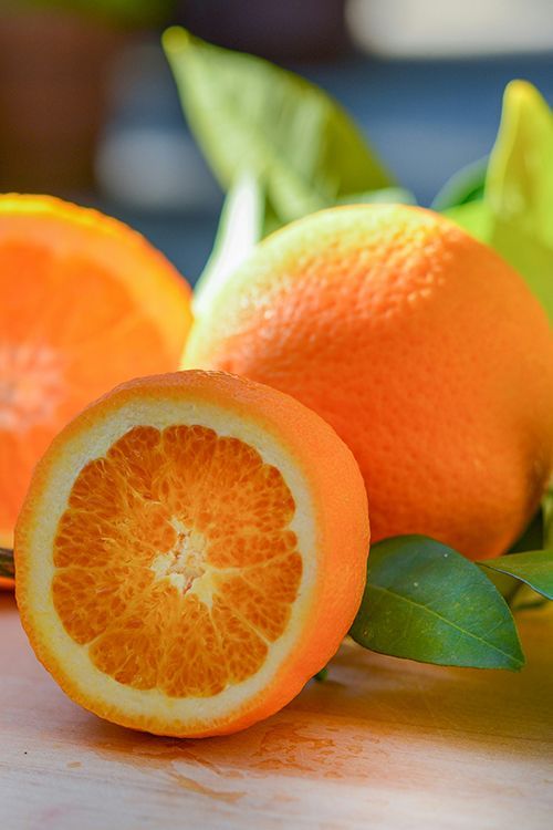 sweet orange