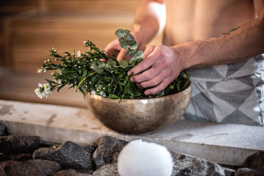 plants in a copper bowl