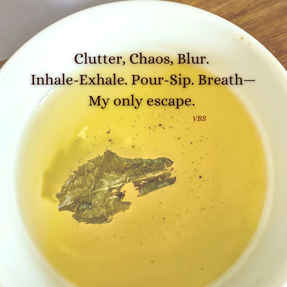 Haiku by Vedika B Saneja